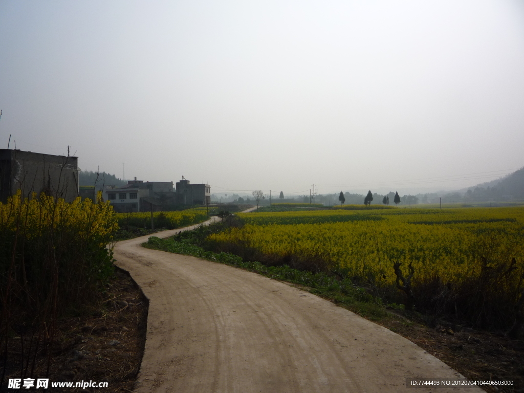 乡村 道路