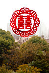 大红喜字