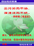 传统美德 出污泥而不染