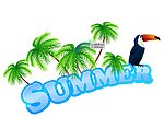 夏季大嘴鸟椰树