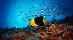水族馆