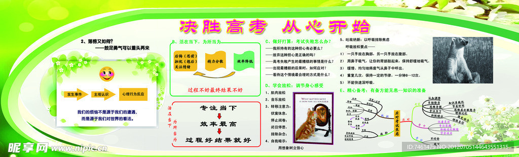 心理展板