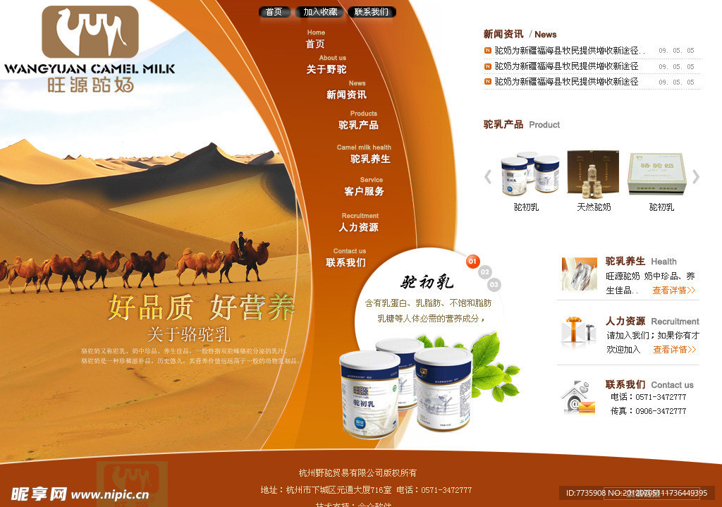 企业官方网页模版