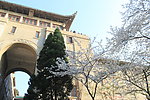武汉大学与樱花