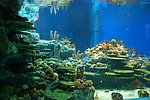 水族馆