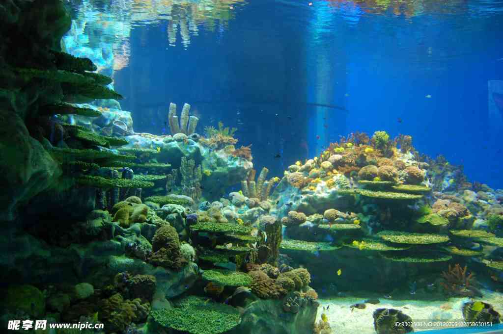 水族馆