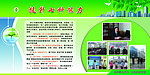 环保绿色展板