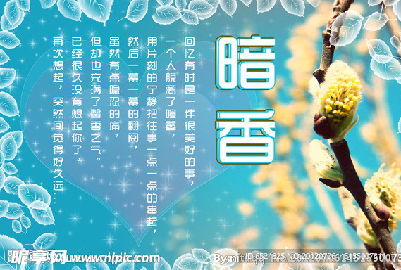 花的暗香