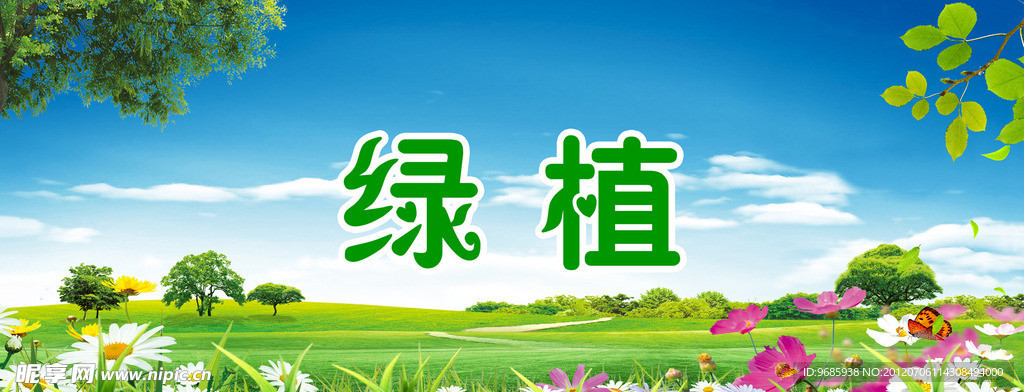 绿植