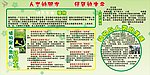 人类的朋友绿色的生命