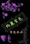 绚丽迷彩紫色花卉