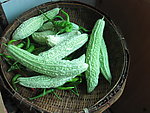 翡翠色苦瓜