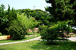 小青岛
