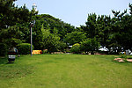 小青岛