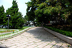 小青岛