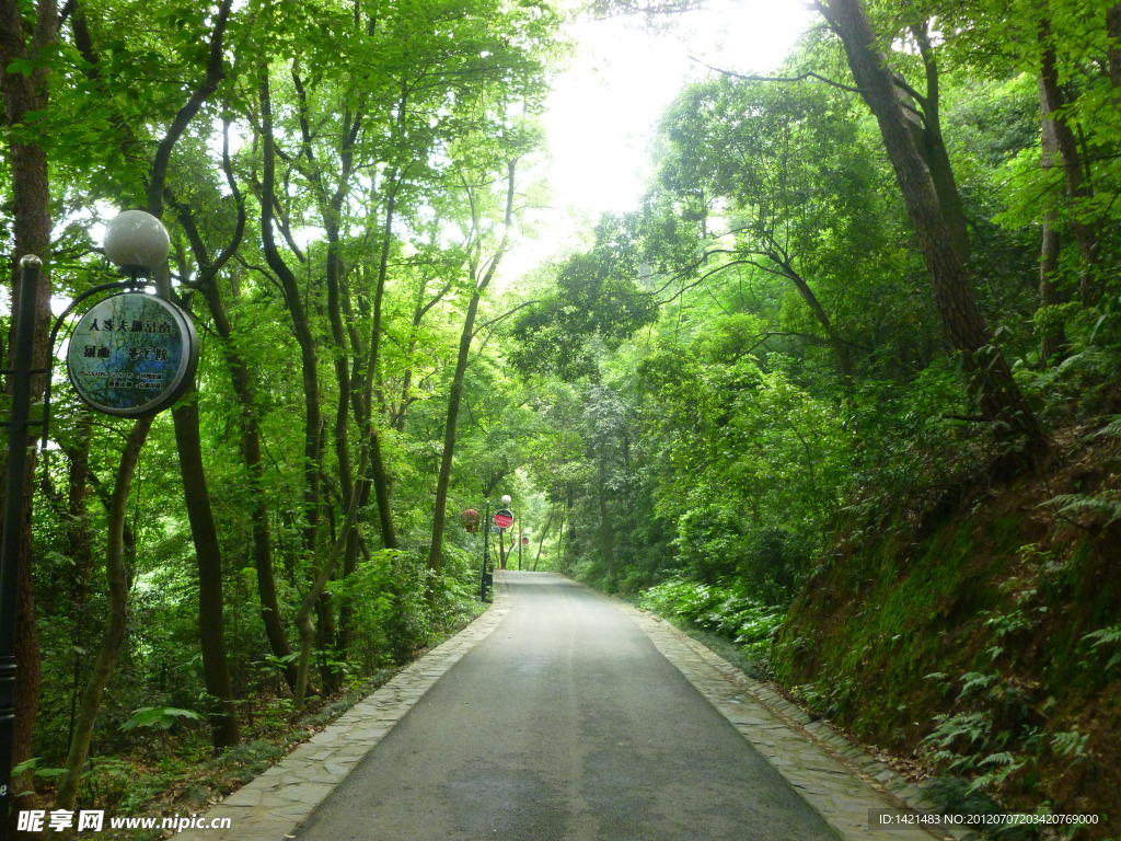 岳麓山