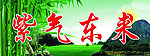 高山竹林日出 紫气东来
