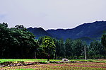 山下的土地