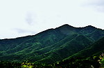 北山的山谷