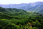 山里的信号塔