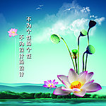 荷花