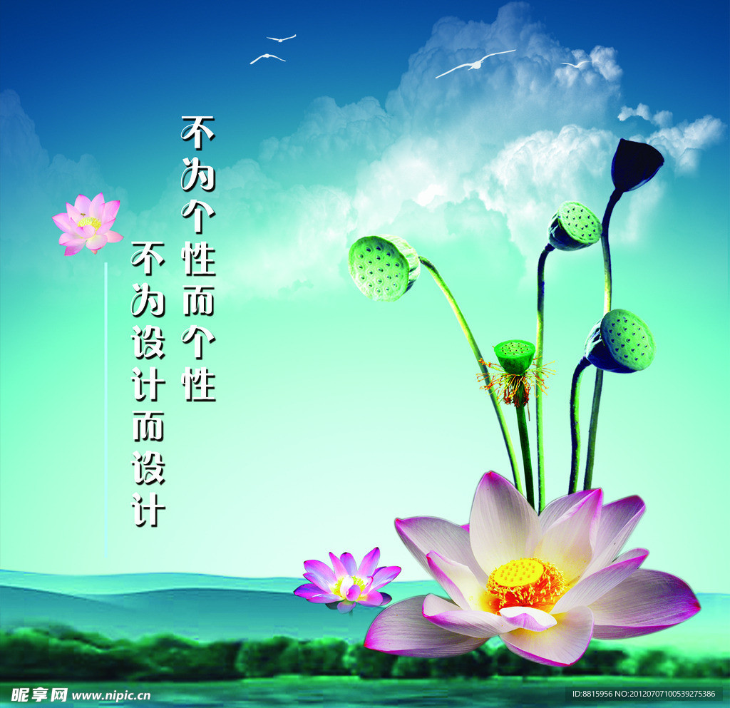 荷花