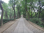 风景画