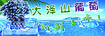 葡萄新鲜上市