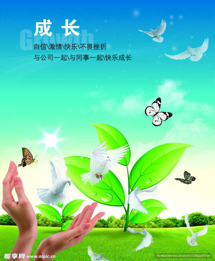 放飞成长