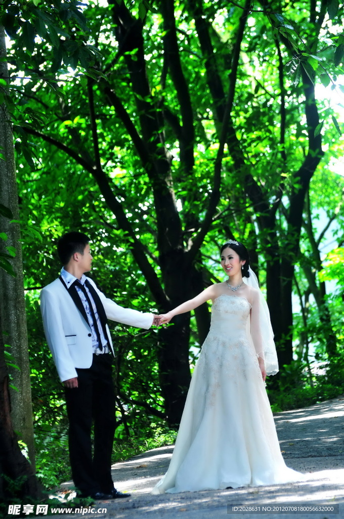 婚纱照