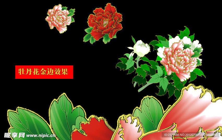 金边牡丹花