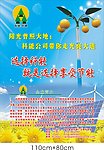 科能电力