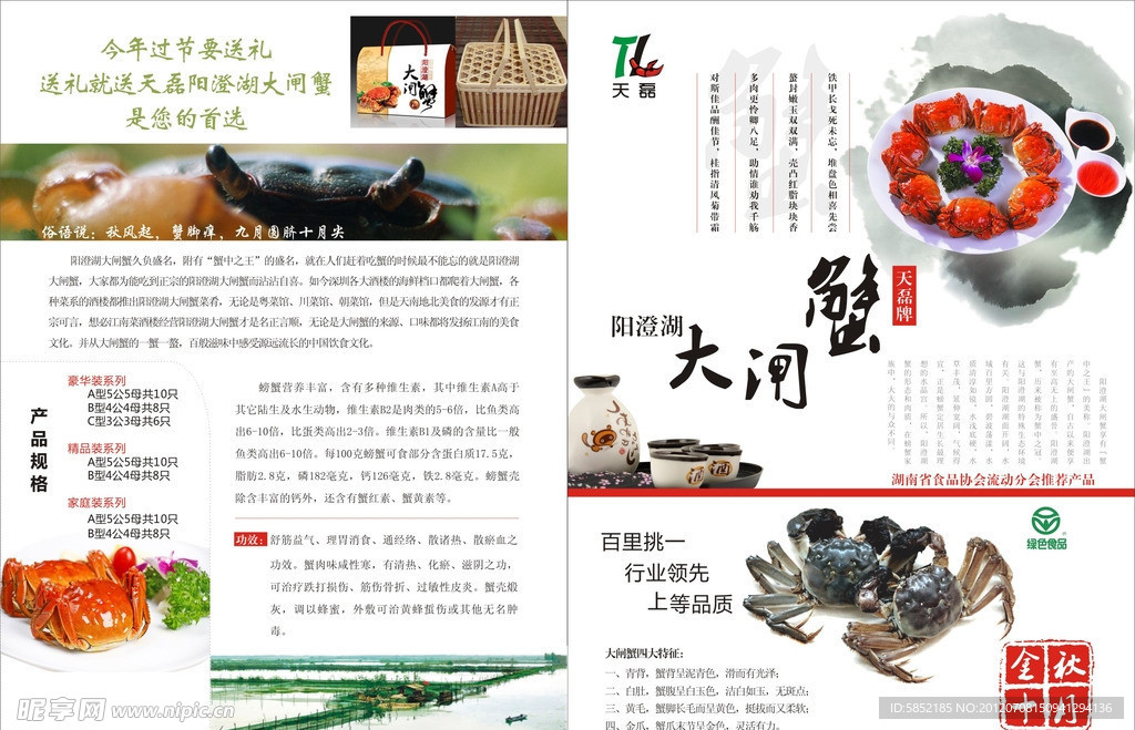 大闸蟹单张