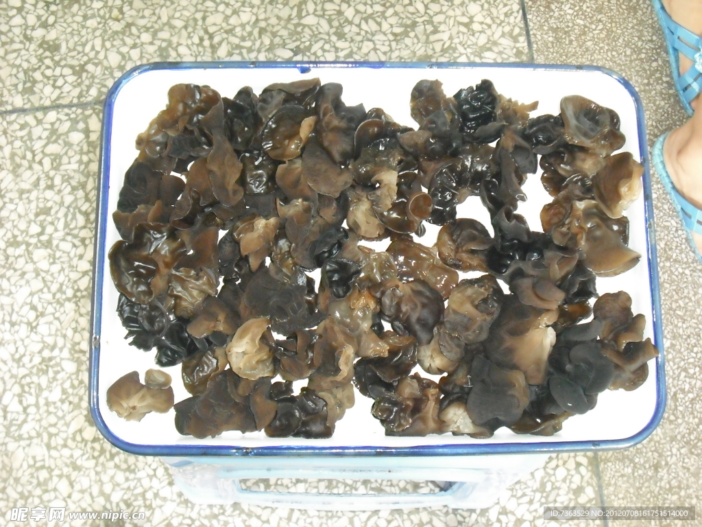 木耳
