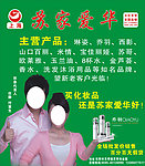 苏家爱华