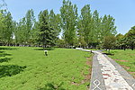 南阳理工学院风景