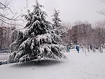 下雪