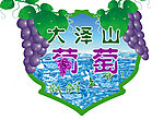 葡萄新鲜上市