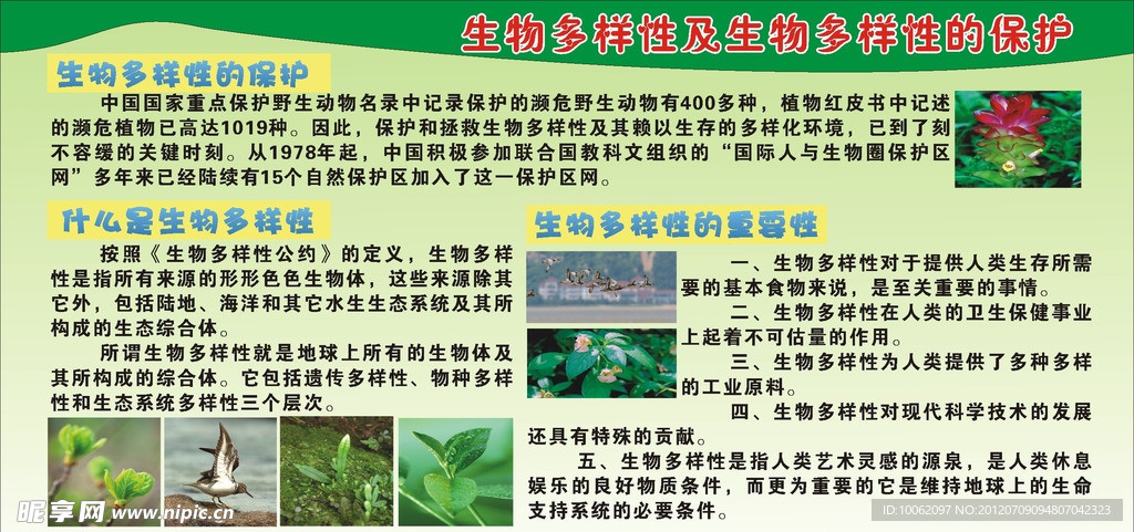 生物多样性及生物多样性的保护