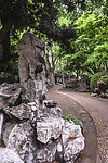 上海和平公园