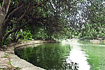 鲁迅公园湖景