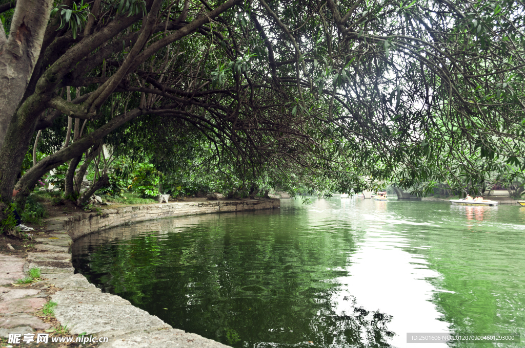 鲁迅公园湖景