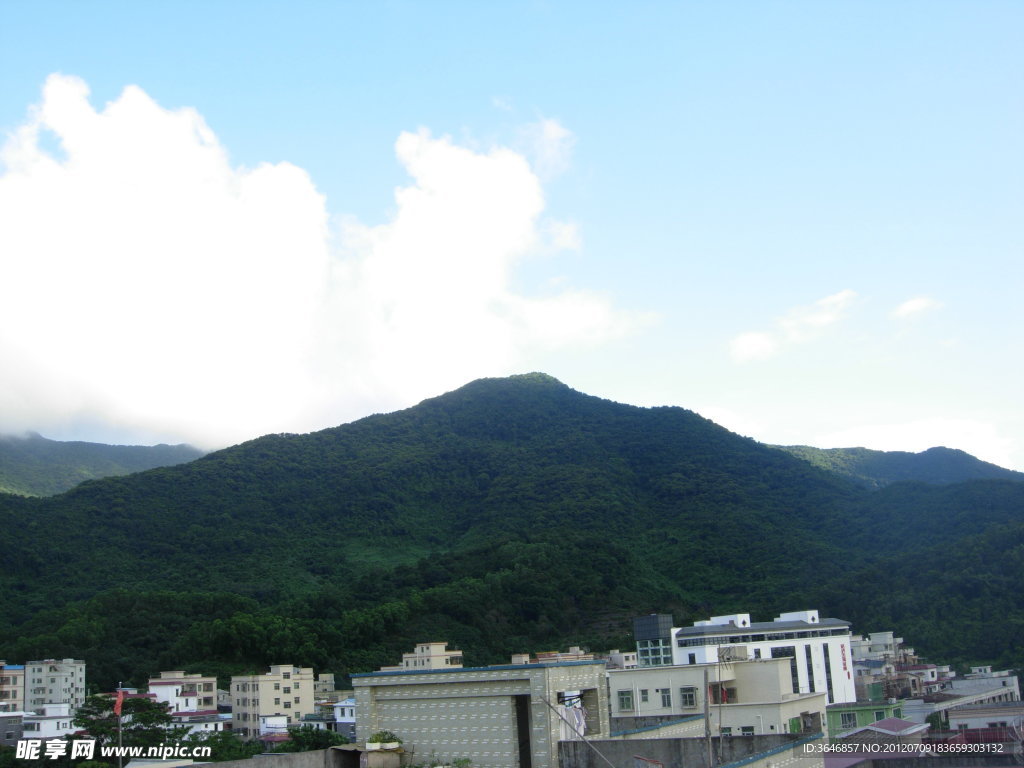 梧桐山