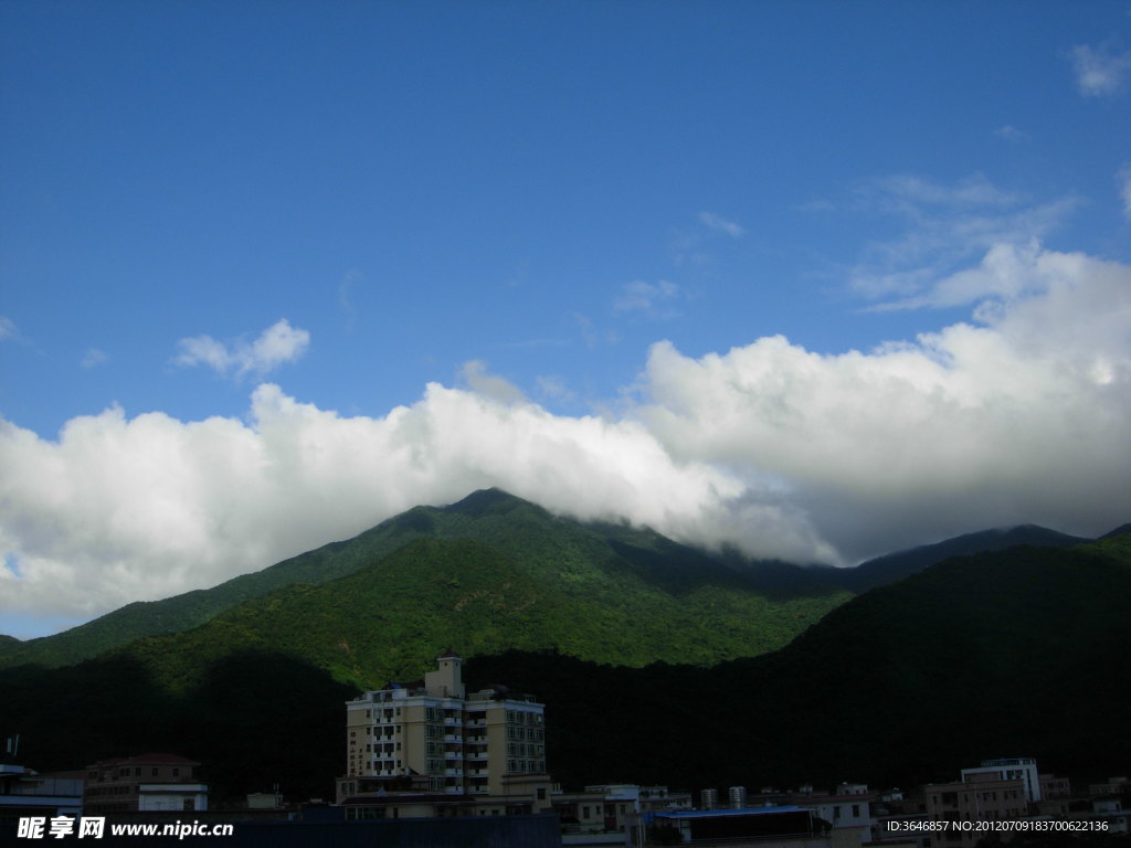 梧桐山