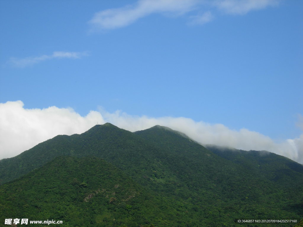 梧桐山