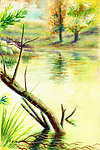 油画 小河流水