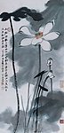荷花(非高清)