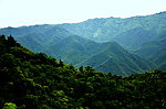 葱茏的北山