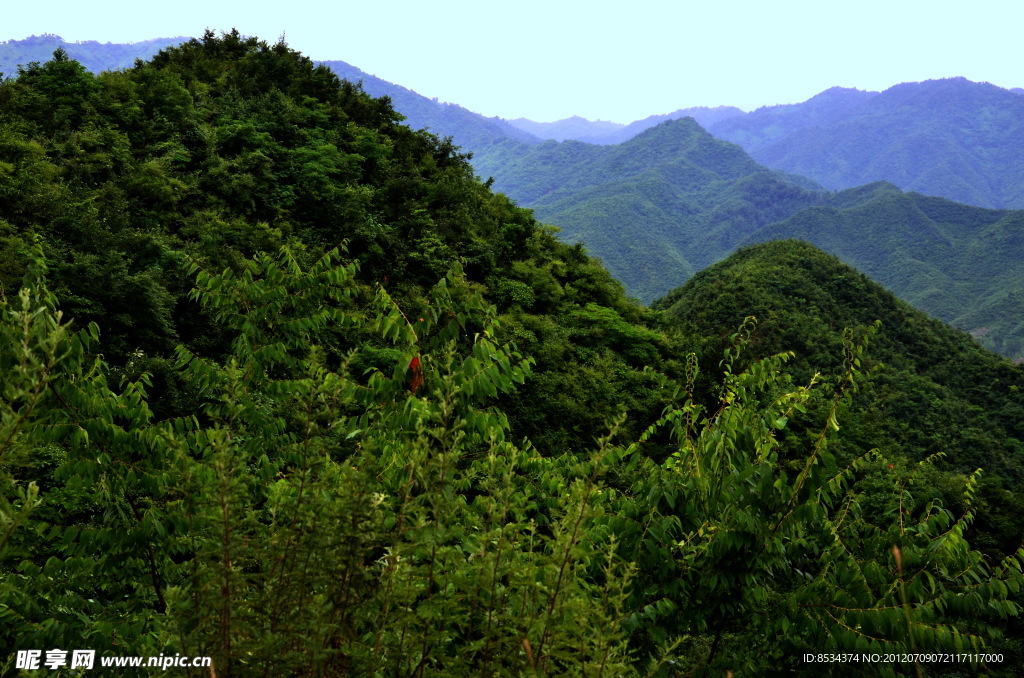 葱茏的北山