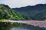山下的河流